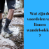 Ontdek de voordelen van linnen wandelsokken.