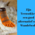 Zijn Teensokken een goed alternatief voor Wandelwol?